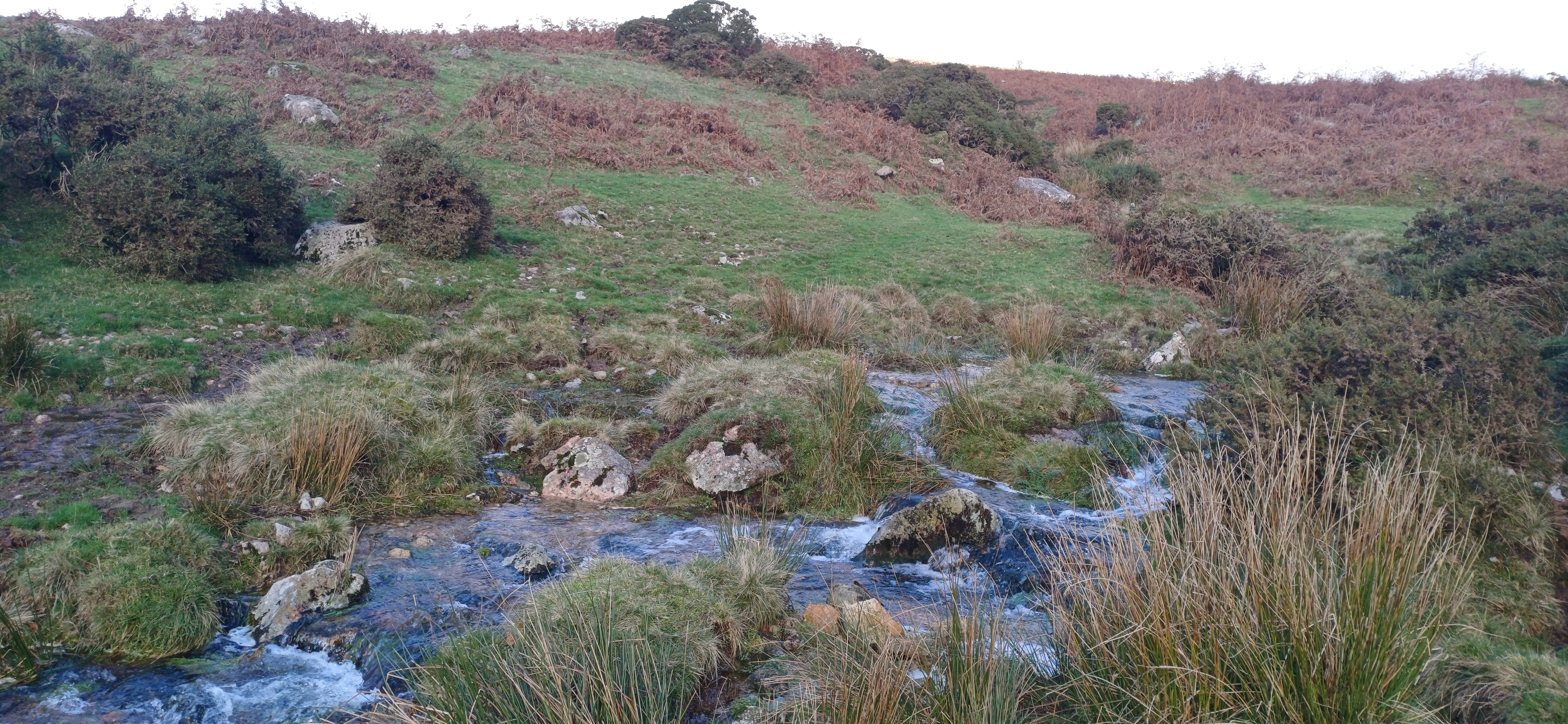Dartmoor landscape